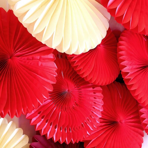 15cm 20cm 25cm 30cm 40cm Tissue Paper Fans Pinwheels Hanging Flower Paper Crafts for Baby Showers Wedding Party Decoration - Image 4