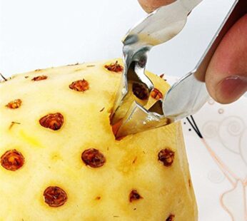 1Pc Cheap Pineapple Eye Peeler Stainless Steel Cutter Practical Remover Clip Home Kitchen Tools Home Kitchen Tool Free Ship