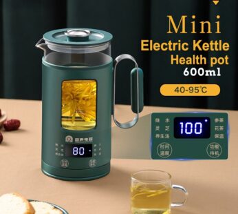 LED Digital Display Multifunctional Electric Kettle Household Stainless Steel Insulation Health Pot Teapot With Filter