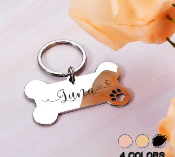 Personalized Pet Dog Tags Shiny Steel Free Engraving Kitten Puppy Anti-lost Collars Tag for Dog Cat Nameplate Pet Accessoires